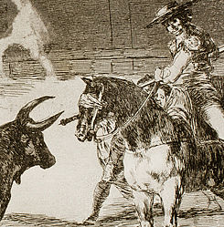 El célebre Fernando del Toro, barilarguero, obligando á la fiera con su garrocha